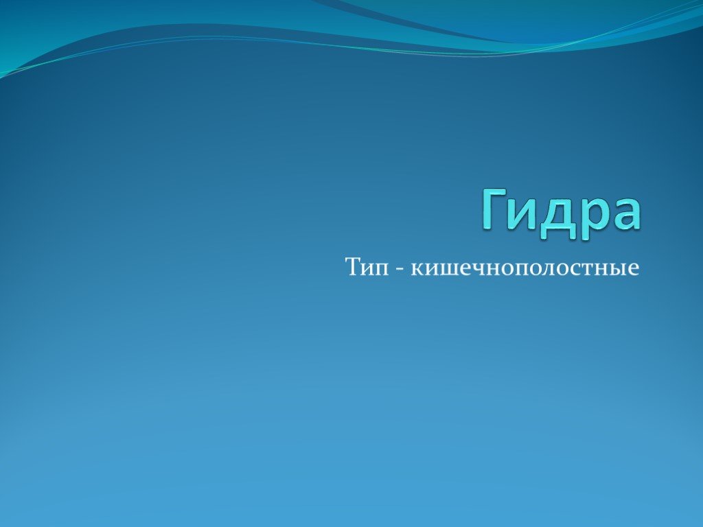 Kraken ссылка зеркало рабочее