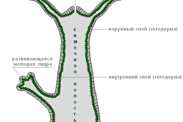 Кракен магазин kr2web in тор