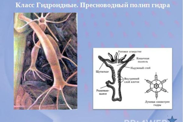 Ссылка на кракен в тор браузере